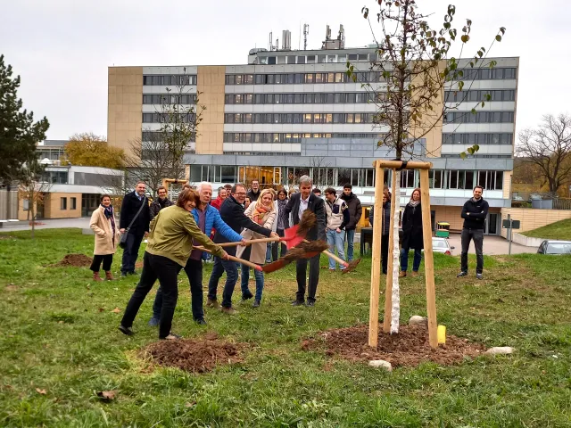 Klimawäldchen wertet Campus auf