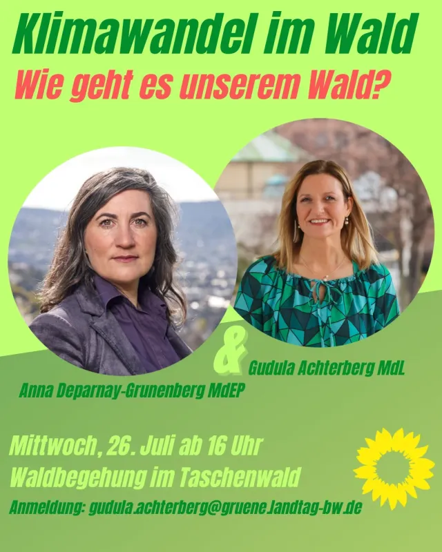 Klimawandel im Wald